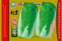 广西崇左市蔬菜种子多少钱一斤